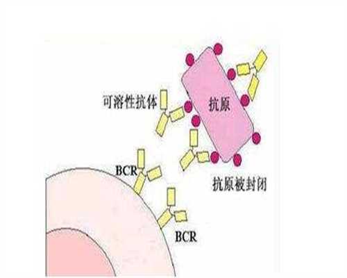 湖南代懷與廣州供卵試管經(jīng)驗(yàn)分享：如何避免被騙并提升成功率